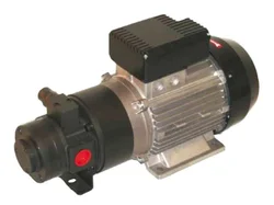 Насос для масла электрический Flexbimec 6138