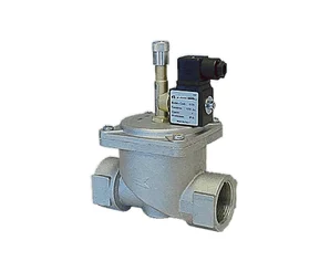MSV200