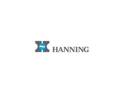 Электродвигатель Hanning OE6y2B3-273 90 Вт